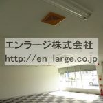 天井 (内装)