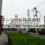 2016.6撮影 (周辺)
