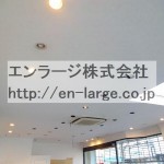 天井 (内装)