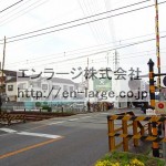 2016.5撮影 (周辺)