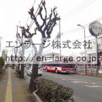 2017.2撮影 (周辺)