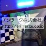  (内装)