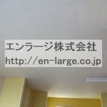 天井 (内装)