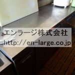 (内装)