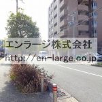 2017.3撮影 (周辺)