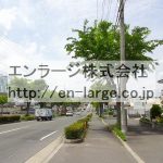 2017.5撮影 (周辺)
