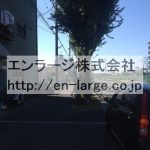  (周辺)