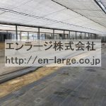 右 (内装)