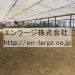 右 (内装)