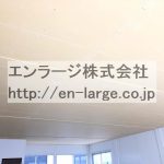 天井 (内装)
