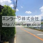2019.5撮影 (周辺)