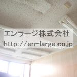 天井 (内装)