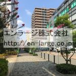 2020.8撮影 (周辺)