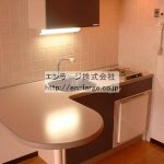 同じ建物の違うお部屋の写真です。 (内装)