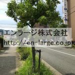  (周辺)