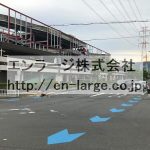 2021.5撮影 (周辺)