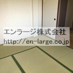  (内装)
