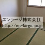  (内装)