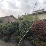  (外観)