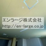 天井 (内装)