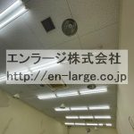 天井 (内装)