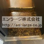  (玄関)