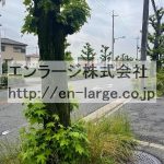  (周辺)