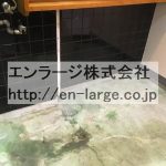 2020.11撮影(入居前写真) (内装)