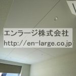 天井 (内装)