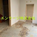 (内装)