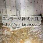  (内装)