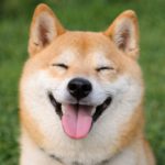 アンリ。