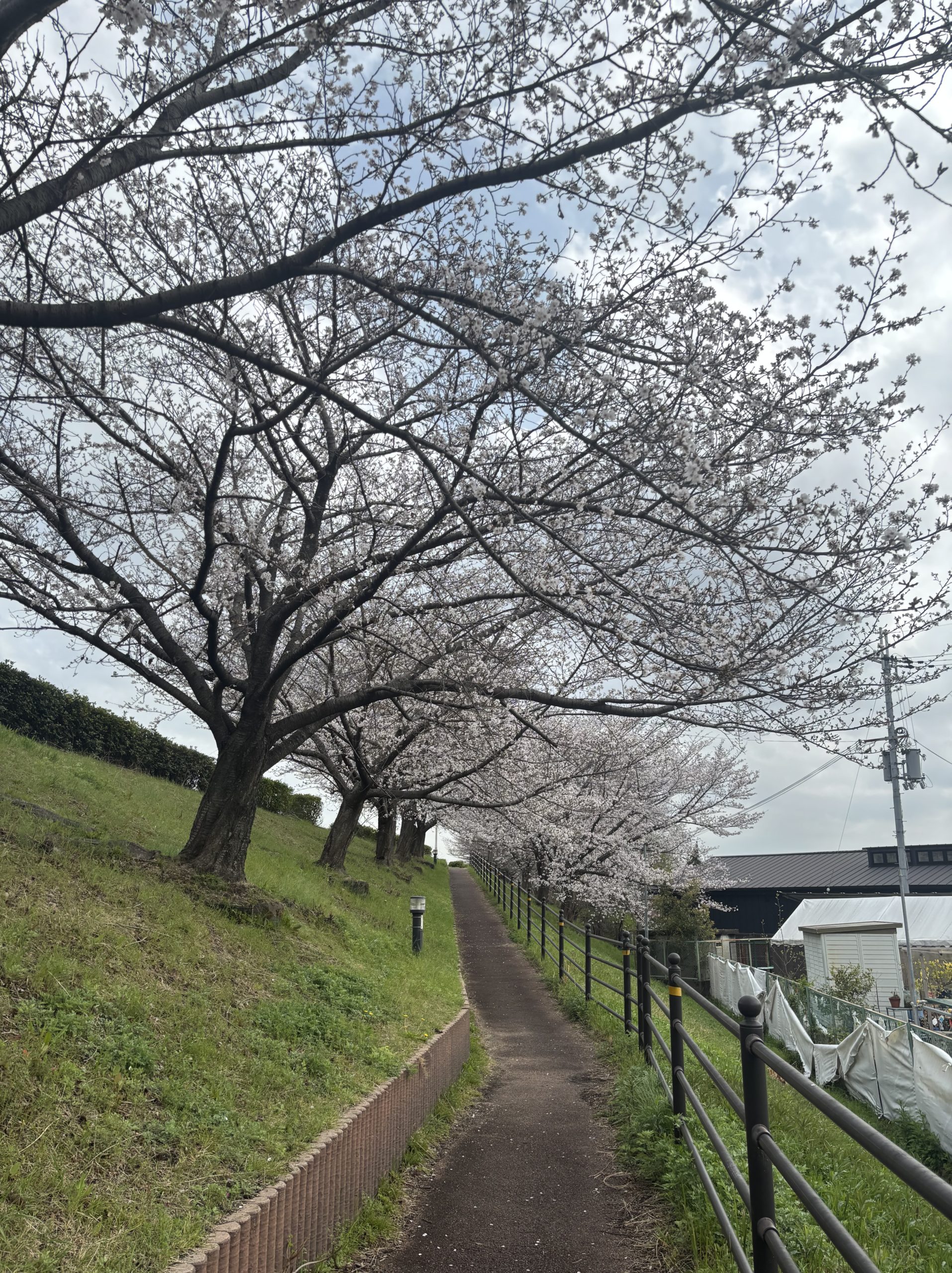 2026.4.8日記