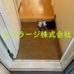  (玄関)